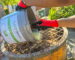 esin-poured-into-forced-action-mixer-resin-bound-installation