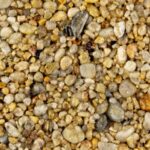 Autumn Gold - Resin kit