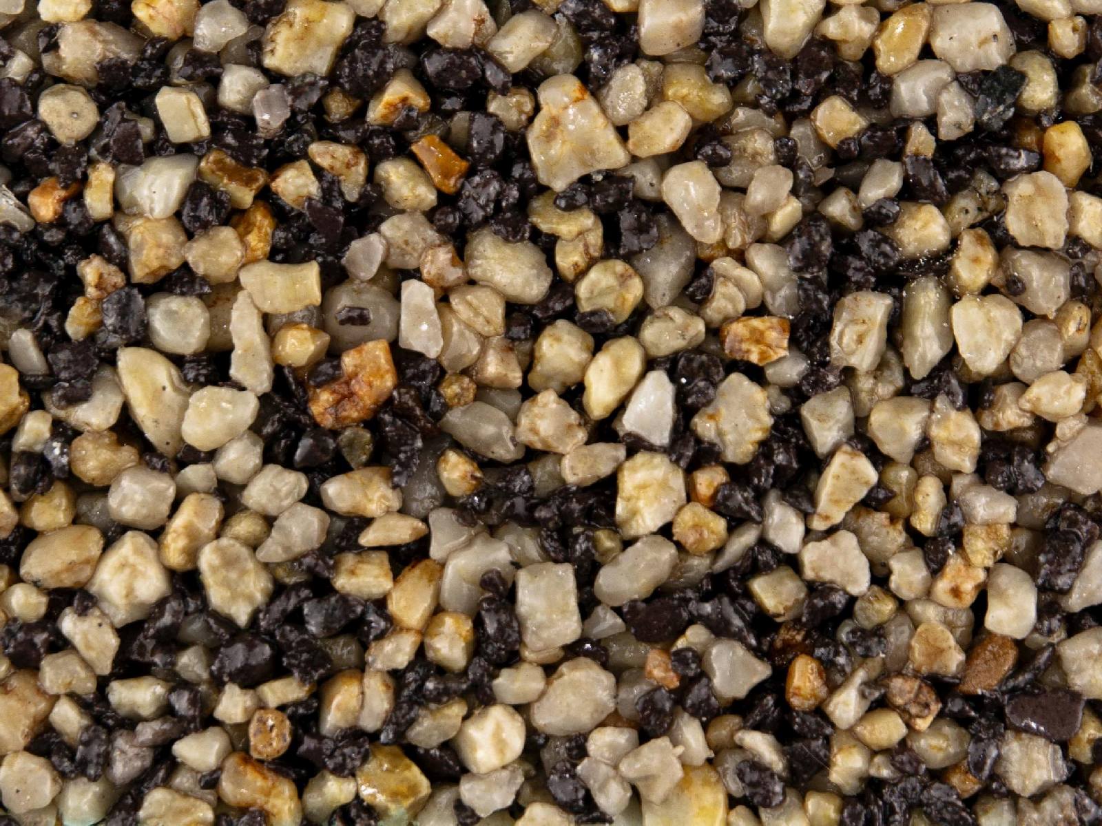 salt-and-pepper Salt and Pepper – Resin kit - Image 1