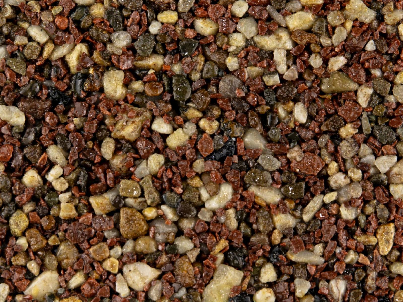spring-taupe Spring Taupe – Resin kit - Image 1