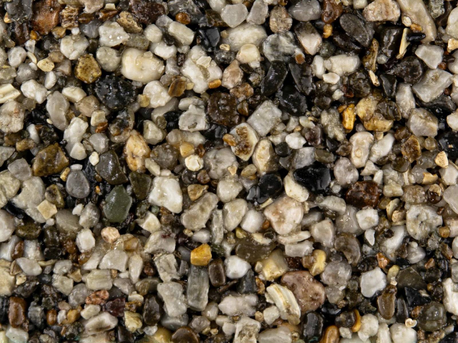 summer-pearl Summer Pearl – Resin kit - Image 1