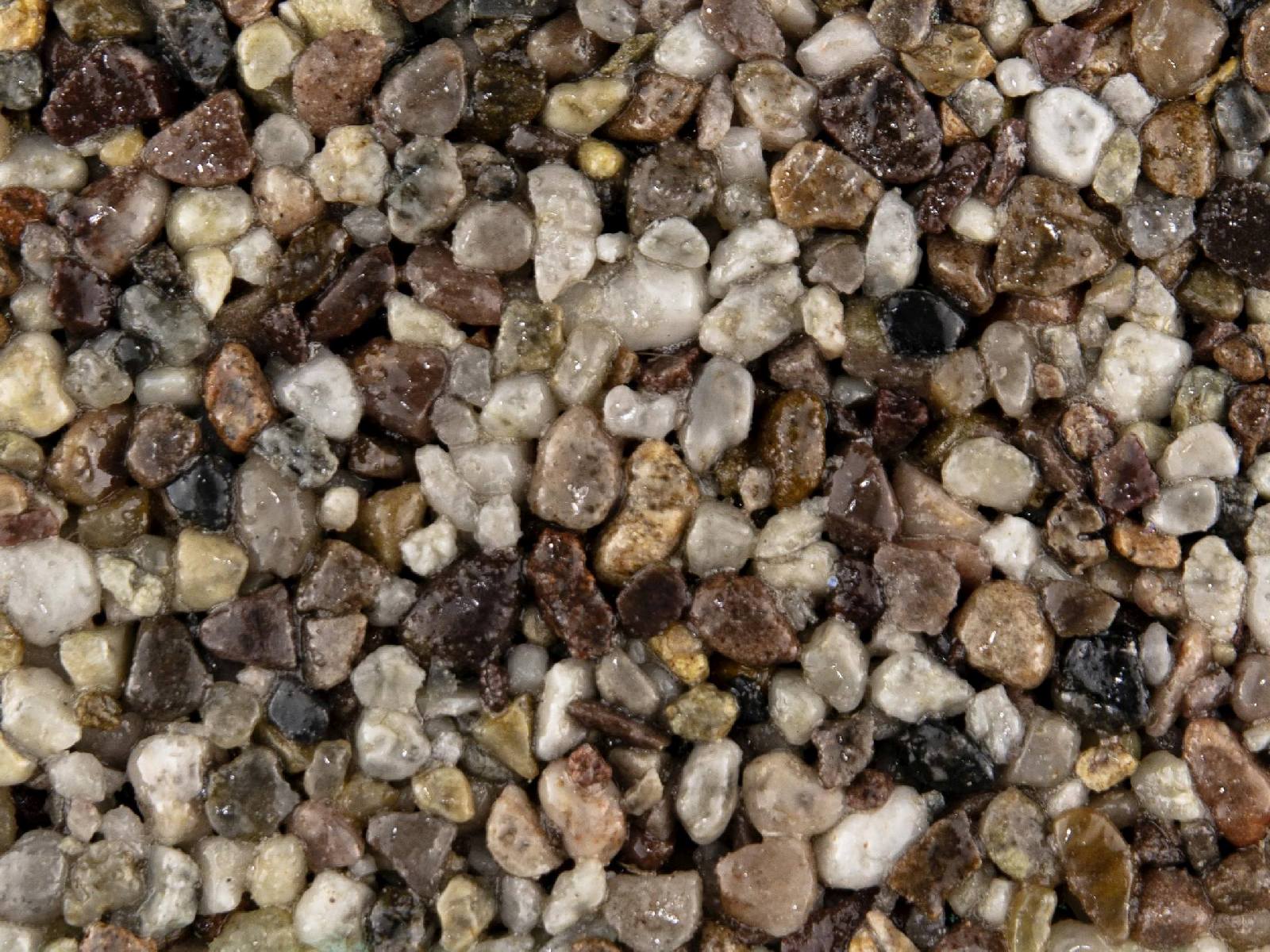tundra Tundra – Resin kit - Image 1
